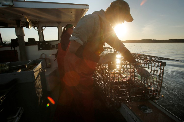 Cory McDonald removes a bait bag from a lobster trap while fishing off the coast of Stonington. 