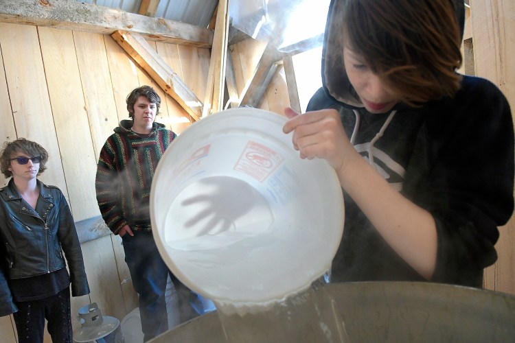 Maranacook Community High School alternative education student Nikolas Grant pours sap into a pot while evaporating in the school's sugar shack Monday on the campus of the Readfield school. Grant and classmates Amy Lough, left, and Brandin Jasper learned the science of creating syrup in the outdoor classroom of teacher Kelsea Trefethen.