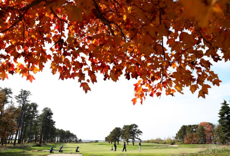 Golfers move about the green at Prout's Neck Country Club on Oct. 18, 2020, as afternoon sunlight illuminates foliage on a nearby maple tree. Foliage is changing color a little later this year.