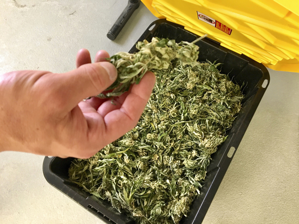 Medical_Marijuana_Subsidy_Utah_97795