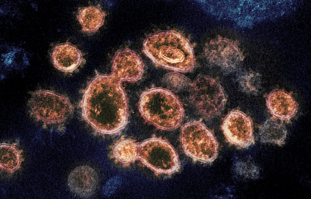Virus Outbreak COVID Pill