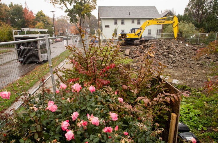 PORTLANDME: OCTOBER 30: A rose bush remains at the site of the 2014 Noyes Street, Portland fire where six peoplelost their lives on November 2, 2014.  (Photo by Carl D. Walsh/Staff Photographer)