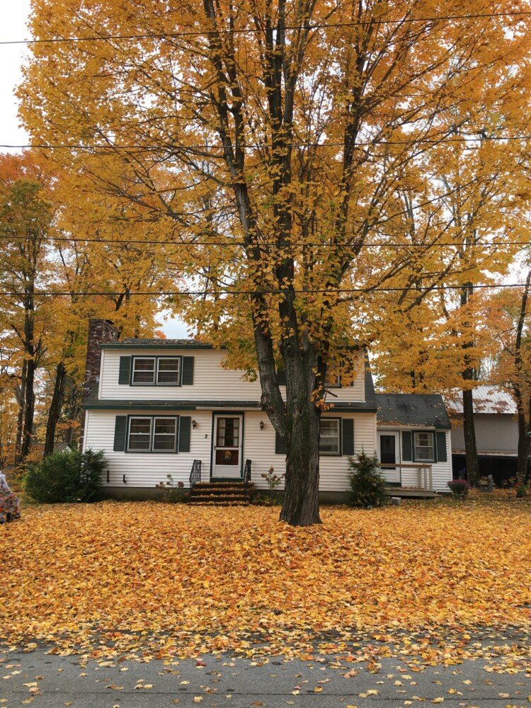 To rake or not to rake? That is the question. Some environmentalists say no, while garden neatniks say yes. Columnist Tom Atwell stakes out a moderate position.