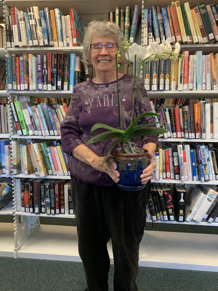 Palermo library board member steps down