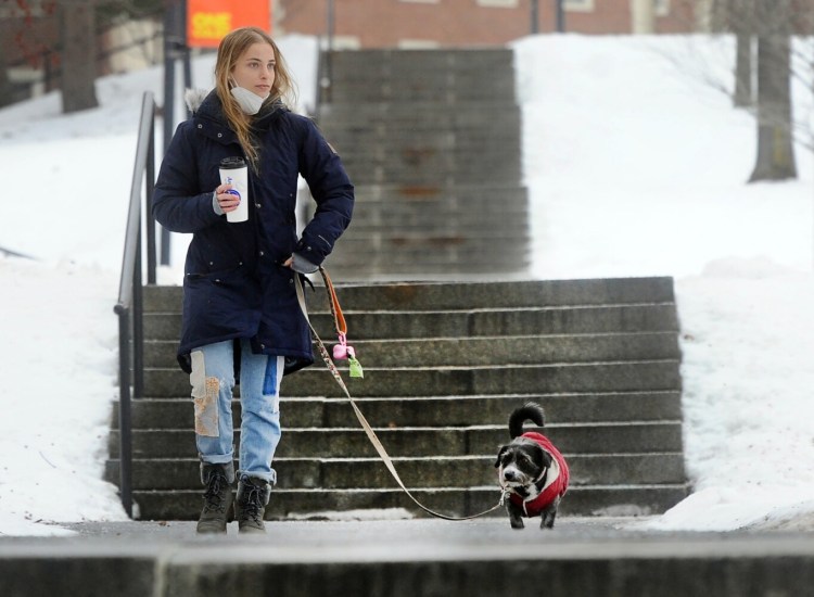 Colby College student Mackenna Greenberg of Los Angeles and her dog, Picchu, a 4-year-old dachshund-terrier mix, walk the Mayflower Hill campus Thursday  in Waterville. Greenberg says she rescued the dog while visiting Machu Picchu in Peru. 
