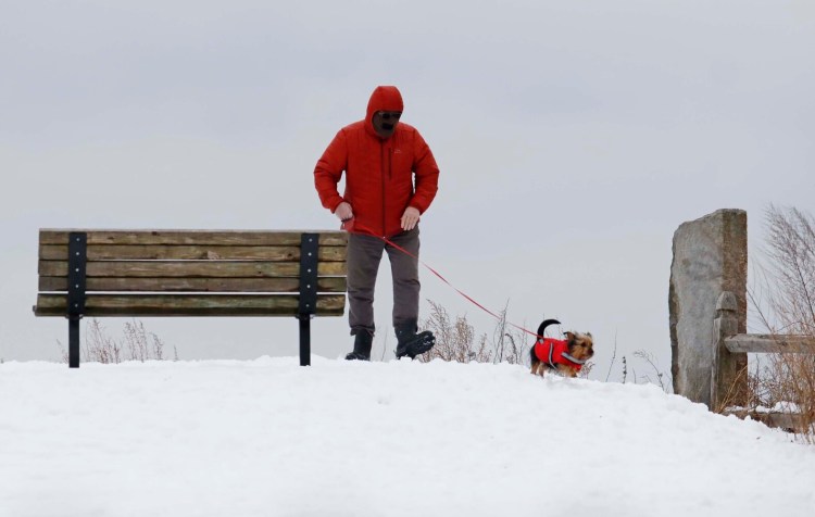 Mark White walks Tinker, his terrier rescue from Tennessee that he's had for six days, at Fort Sumner Park in Portland on Sunday. With cold weather on the way for this week, experts are saying to keep dog walks short or to forgo them altogether.