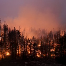 Western Wildfires Biden Plan