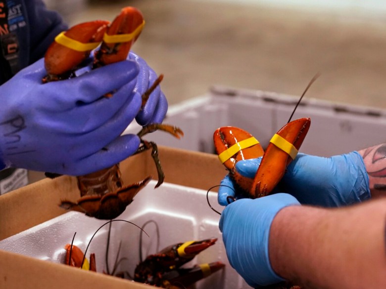 Can European holiday demand reverse Maine’s lobster export slump?