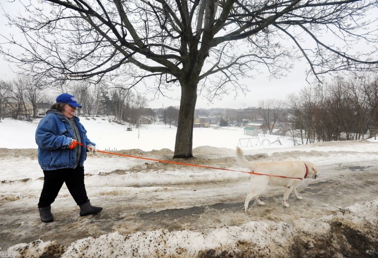 Sue Ervin and dog, Brady, a Labrador mix, walk Thursday past Green Street Park in Waterville. A skatepark planned for the park is scheduled to open this fall.