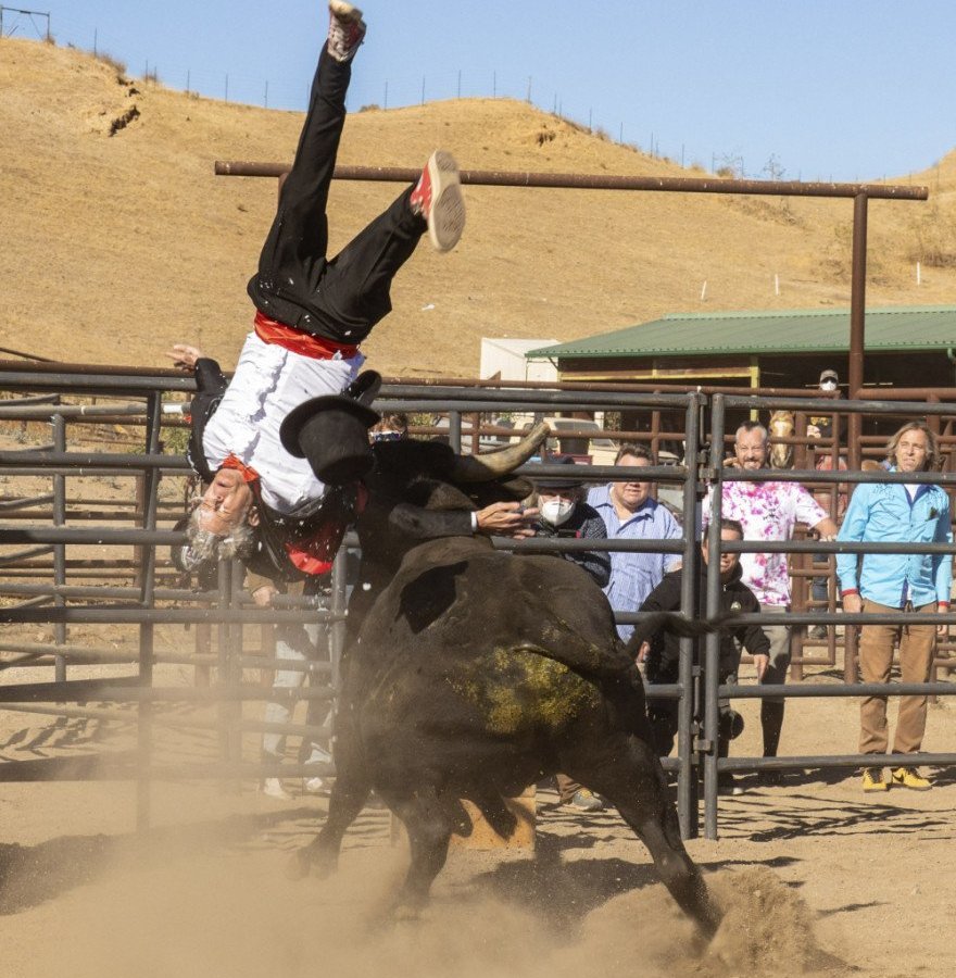 Film Review - Jackass Forever