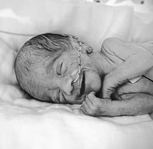 Jaxon Arthur Solmitz