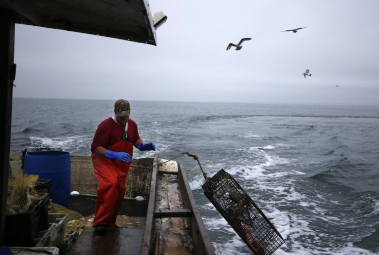 Bobby Kent pushes a baited lobster pot into the waters of Long Island Sound off Groton, Conn., in 2016. It's been estimated that about one million lobster traps have been left behind in the Sound.