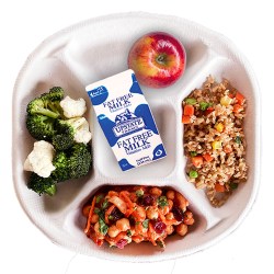 Vegan School Lunches