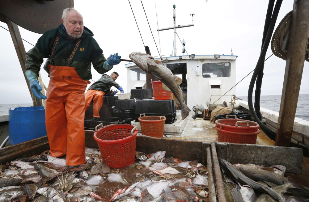 Fishing Monitors