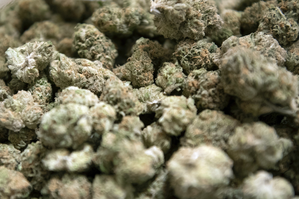 Vermont Marijuana
