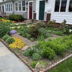 Gardening - Rethinking the Lawn