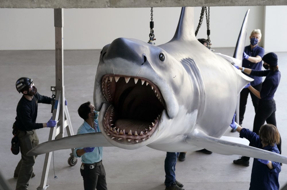 Jaws__Installation_at_The_Academy_Museum_of_Motion_Pictures_77937