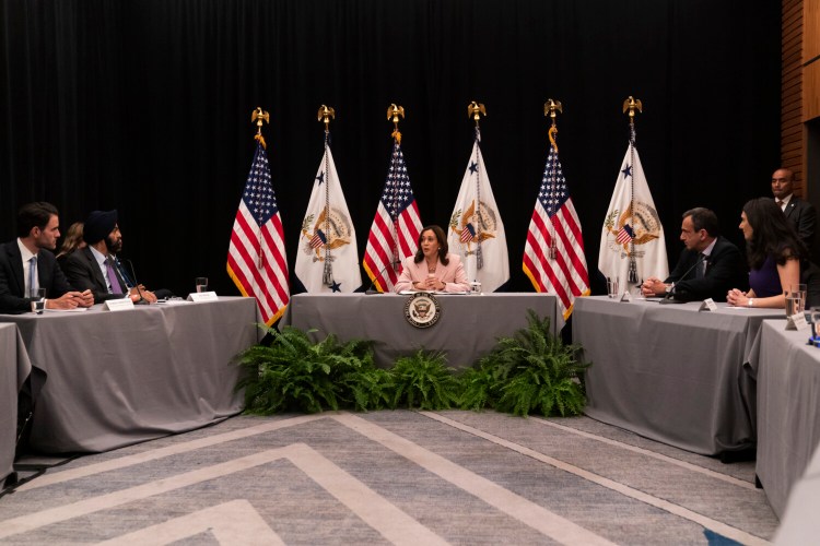 Vice President Kamala Harris speaks at a roundtable discussion with business executives during the Summit of the Americas in Los Angeles, Tuesday, June 7, 2022. (AP Photo/Jae C. Hong)