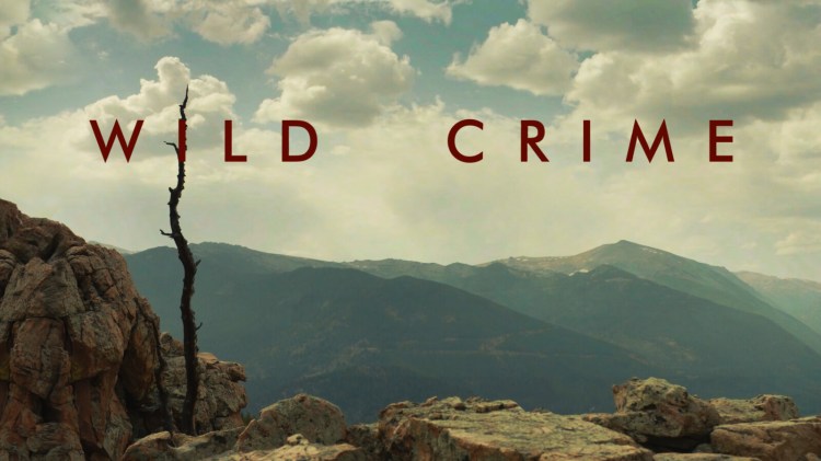 A casting call has gone out for extras to work on the true crime series "Wild Crime" in Greater Portland this month. 
