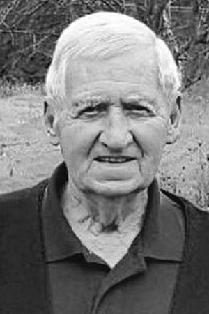 Stanley Amasa Shores