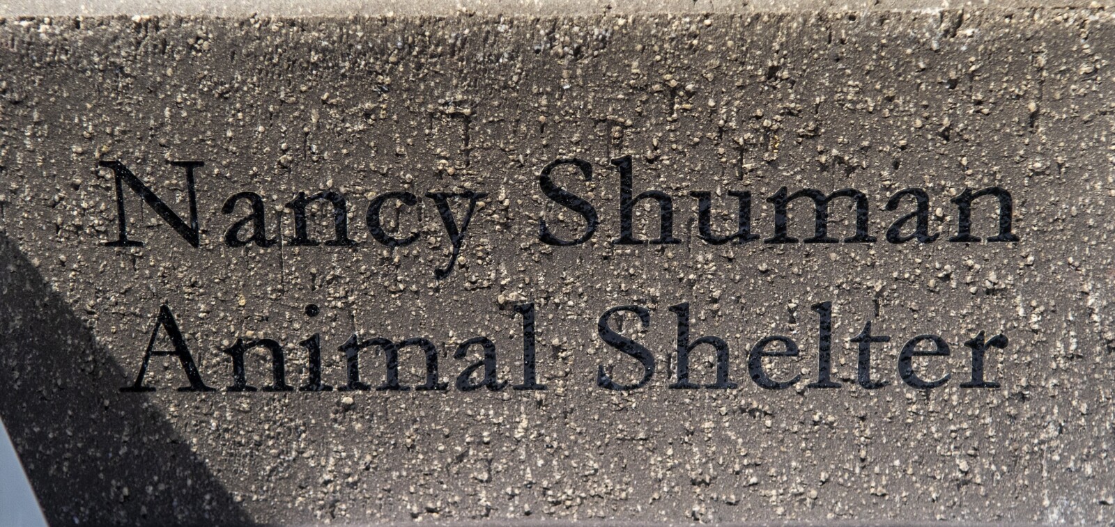 Kennebec Valley Humane Society gallery Kennebec Journal and Morning