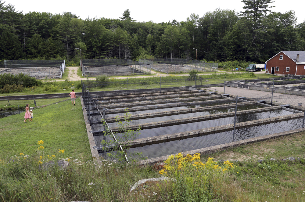 Fish Hatchery Lawsuit