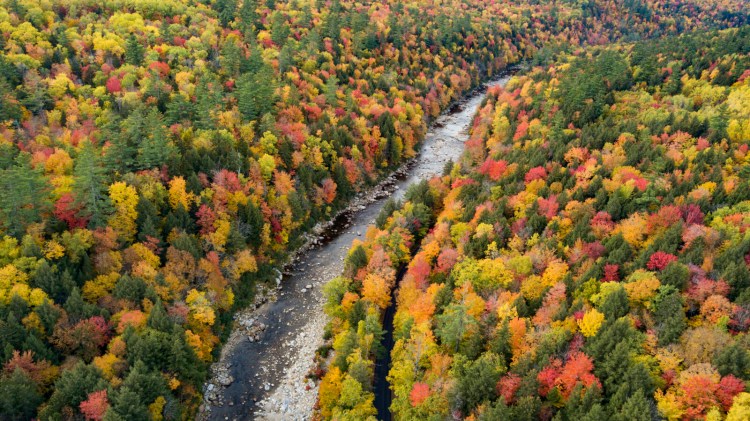 EVANS NOTCH, ME - OCTOBER 10: Trees on either side of the Wild River in Evans Notch exhibit their bright autumnal foliage in this photo made on Thursday, October 10, 2019. (Staff photo by Gregory Rec/Staff Photographer)