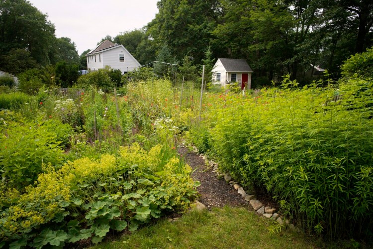 A slice of columnist Tom and Nancy Atwell's garden in July in this archive photo. State Horticulturalist Gary Fish stopped by recently and liked what he saw. 