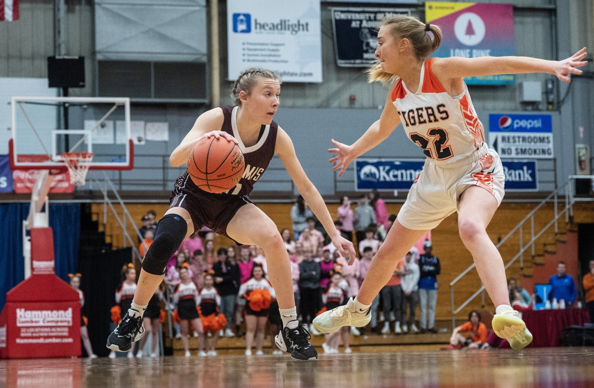 A North girls basketball Gardiner holds off Nokomis to reach regional final imagen imagen foto