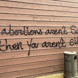 Abortion Wisconsin Fire
