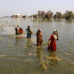 UN Climate Report