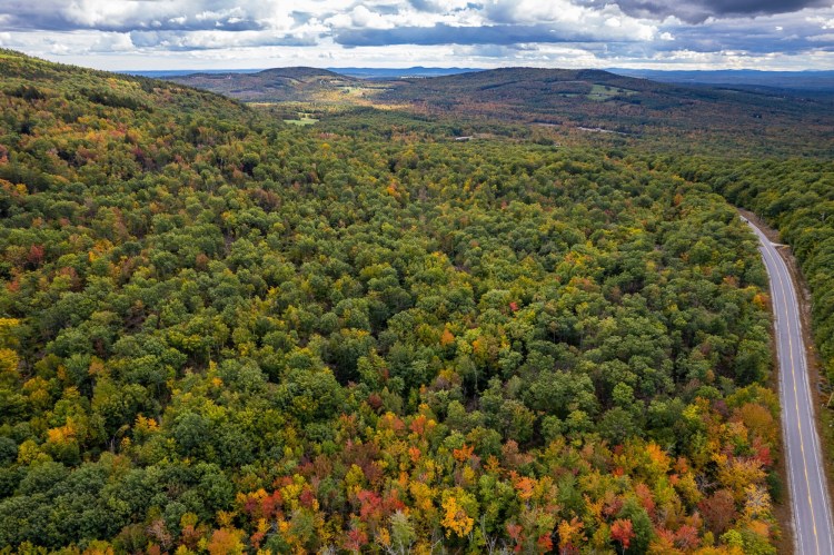 Sprawling woods surround the top of Streaked Mountain in Buckfield and as far as the eye can see. Maine is 90% forested, but the forests face many threats.