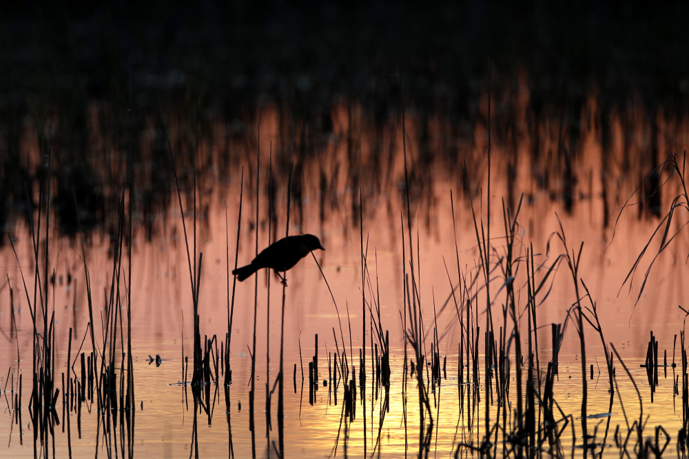 Water Protections Lawsuit