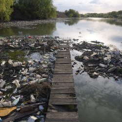 Earth Environmental Limits