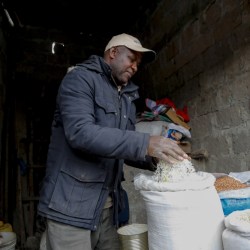 Rice Global Shortage
