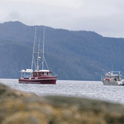 Alaska Salmon Closure