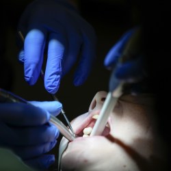 Medicaid Dental