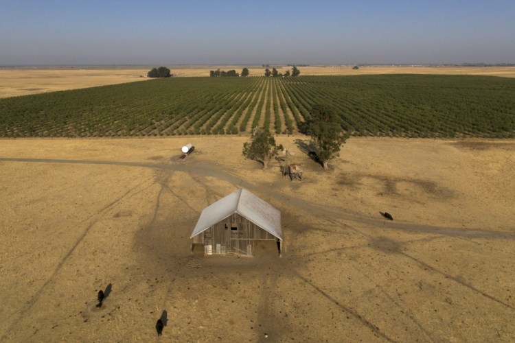 Silicon Valley billionaires and investors are behind a years-long, secretive land buying spree of more than 78 square miles of farmland in Solano County with the goal of creating a new city. Godofredo A. Vásquez/Associated Press