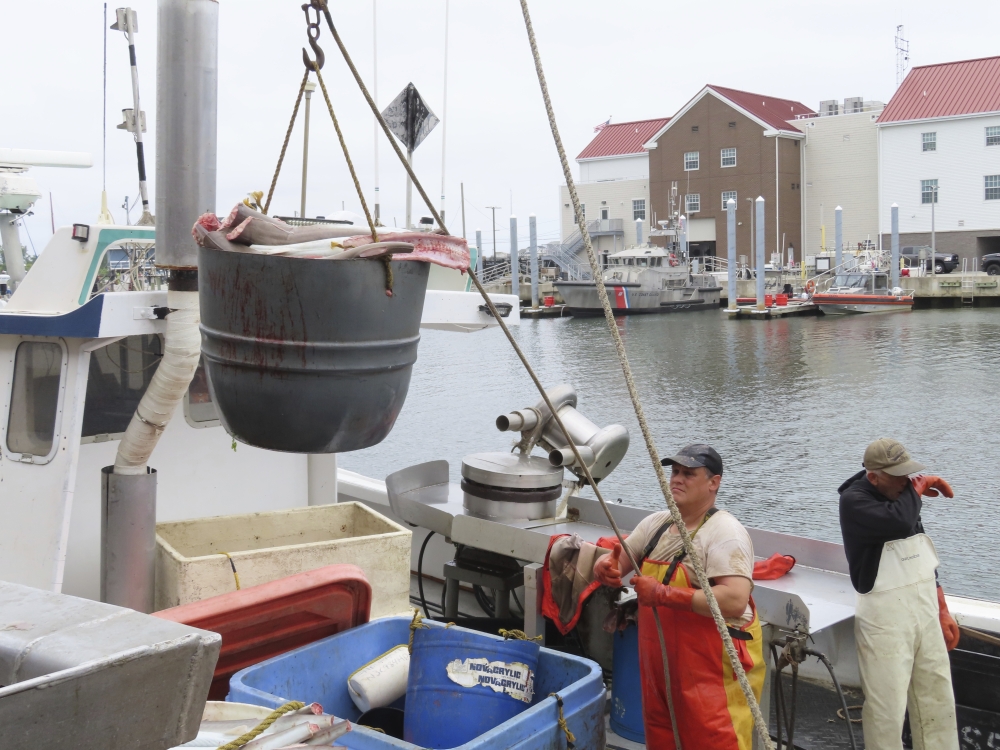 Offshore Wind Unknowns