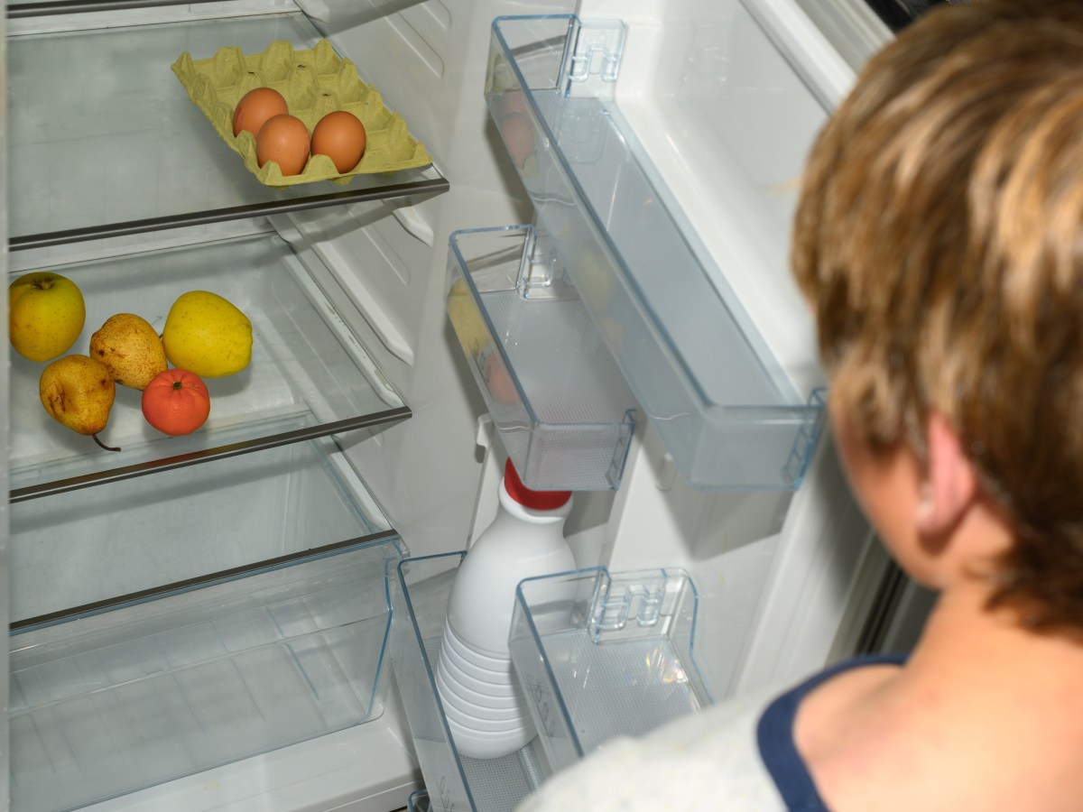 hungry child hunger no food empty fridge
