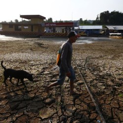 Brazil Amazon Drought