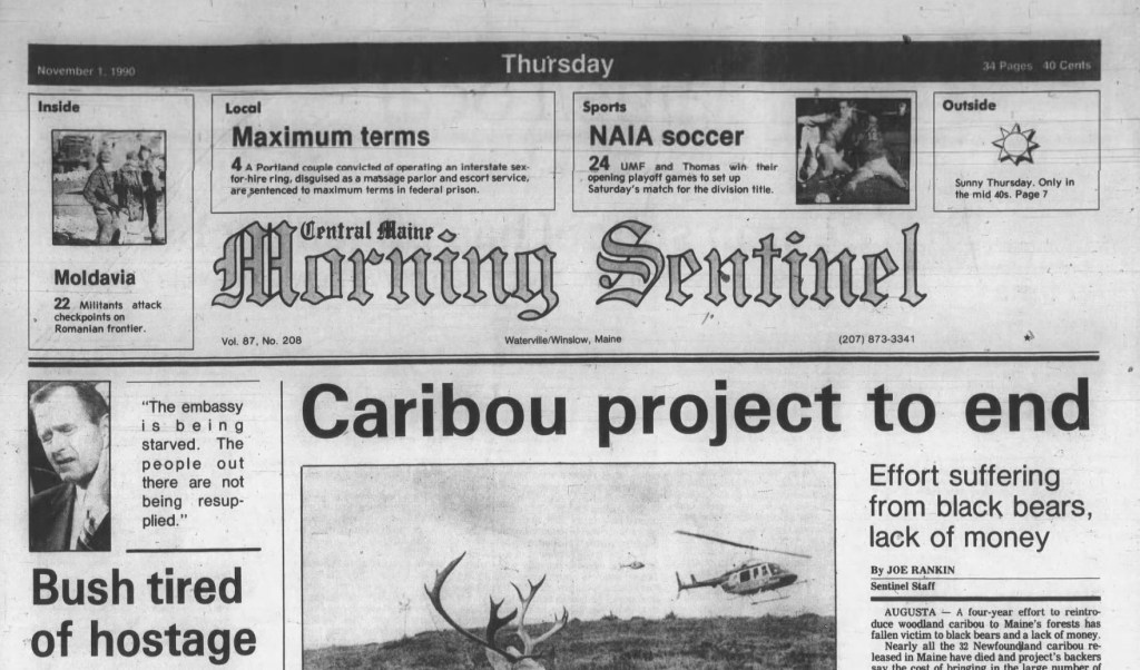 Nov. 1, 1990 Fouryear effort to reintroduce woodland caribou to Maine