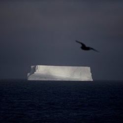 Antarctic Extreme Weather