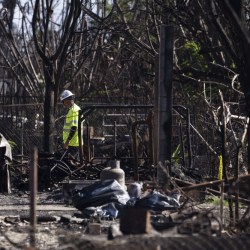 Hawaii Wildfire 911 Calls