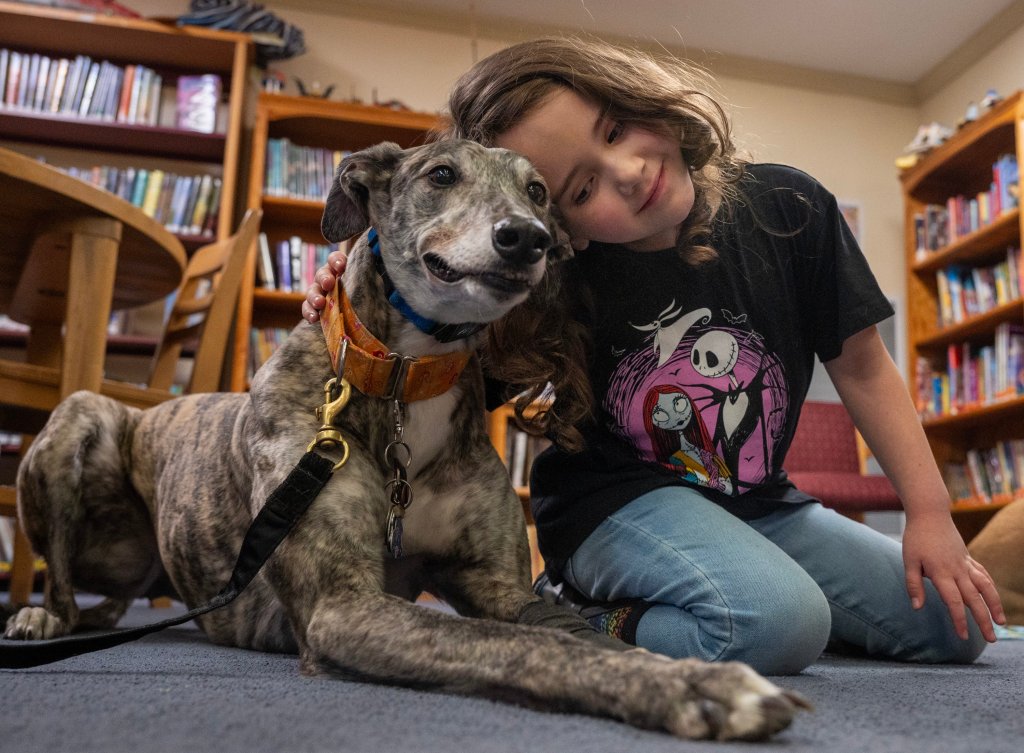 Photos Good therapy dogs unleash comfort for Gardiner library friends