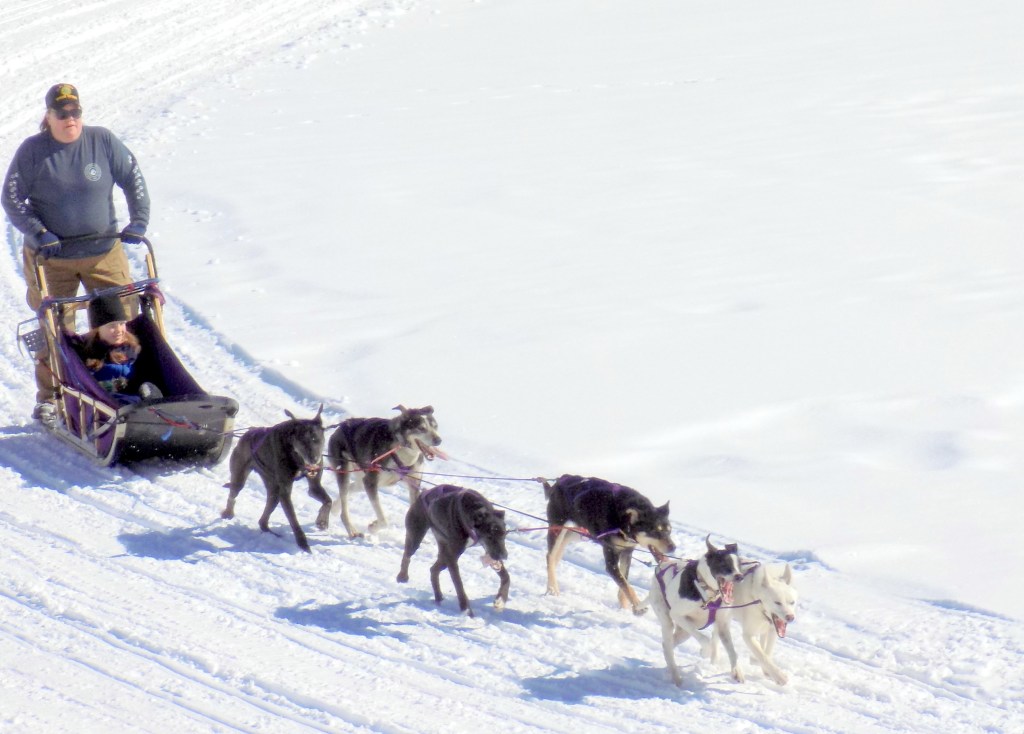 If enough snow, Farmington sled dog races have new dates, location