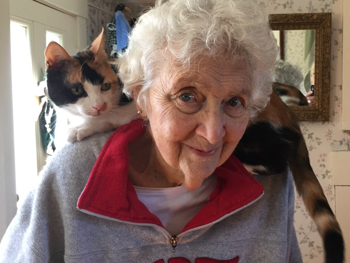 Lois Woodcock