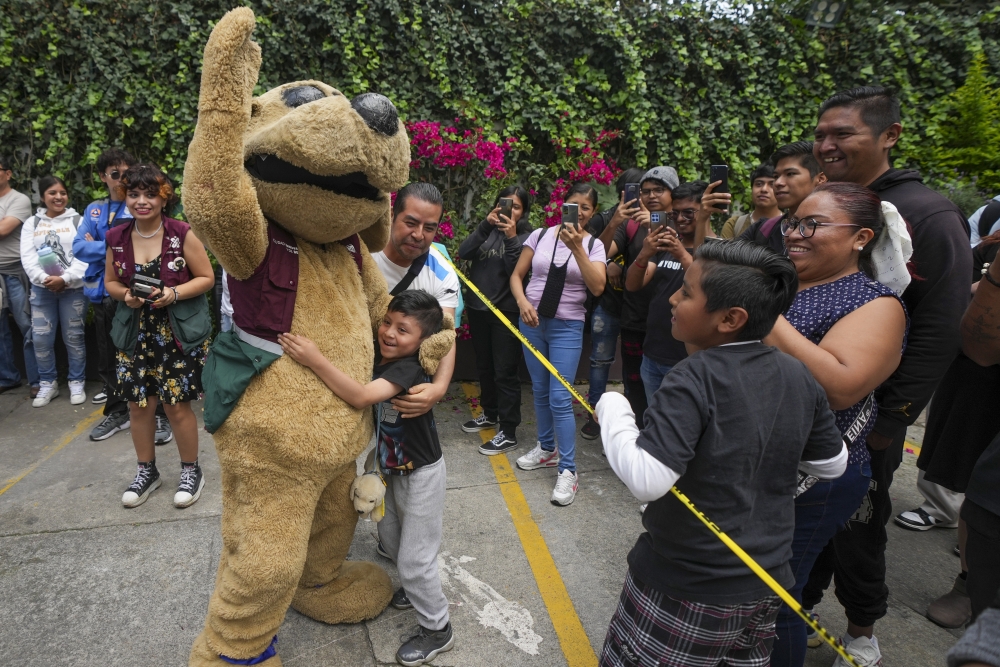 Mexico Puppy Fighter