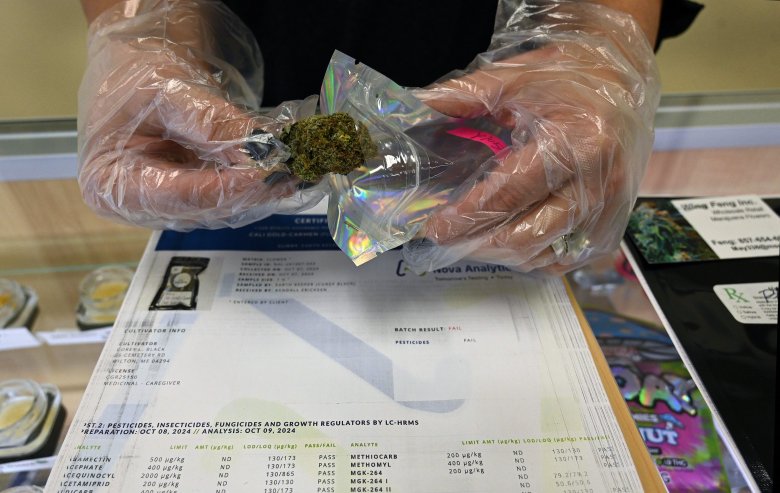 centralmaine.com - Penelope Overton - Group launches ballot initiative aimed at ending recreational marijuana sales in Maine