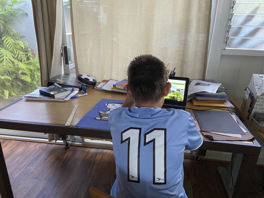 Virus_Outbreak-Online_Learning_Complaints_31285